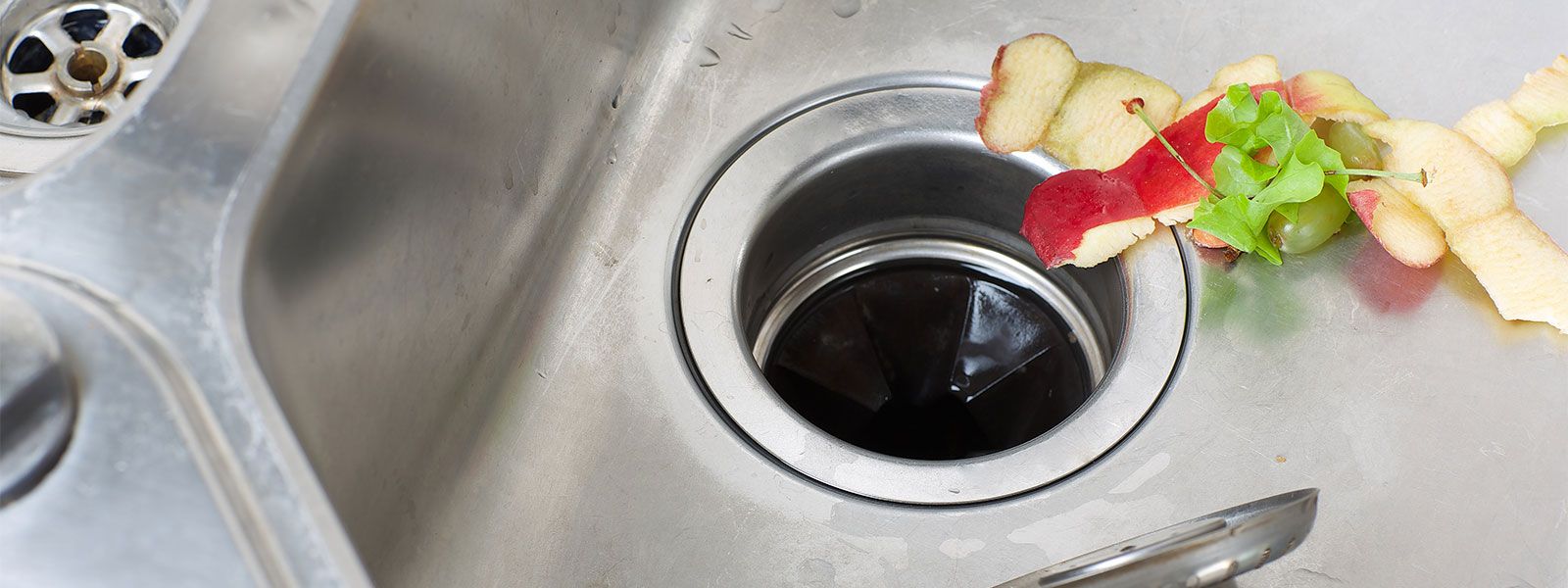 clogged garbage disposal