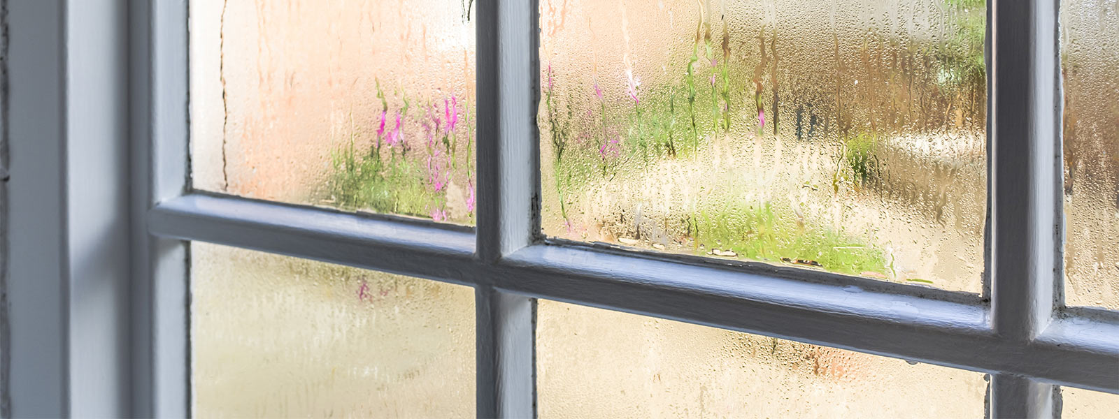 A paneled window with condensation on it