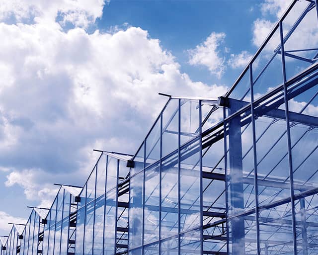 Exterior of greenhouse